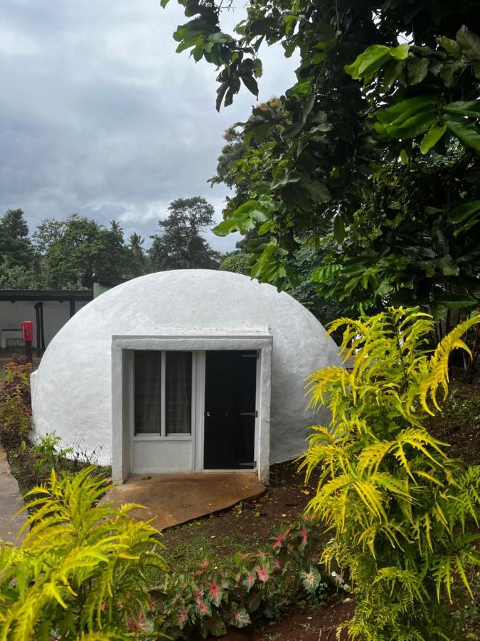Camp Taveuni Hostel Matei Buitenkant foto