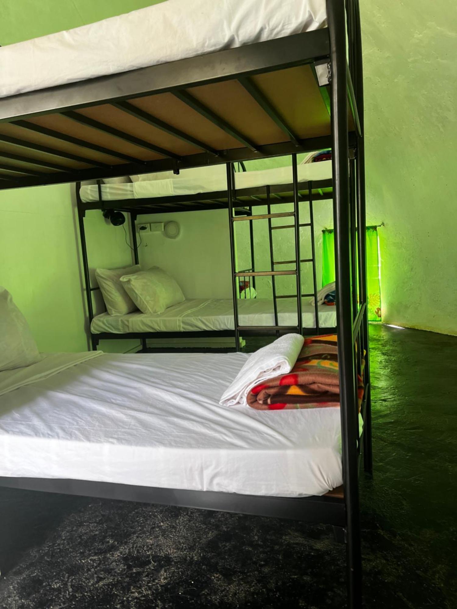Camp Taveuni Hostel Matei Buitenkant foto